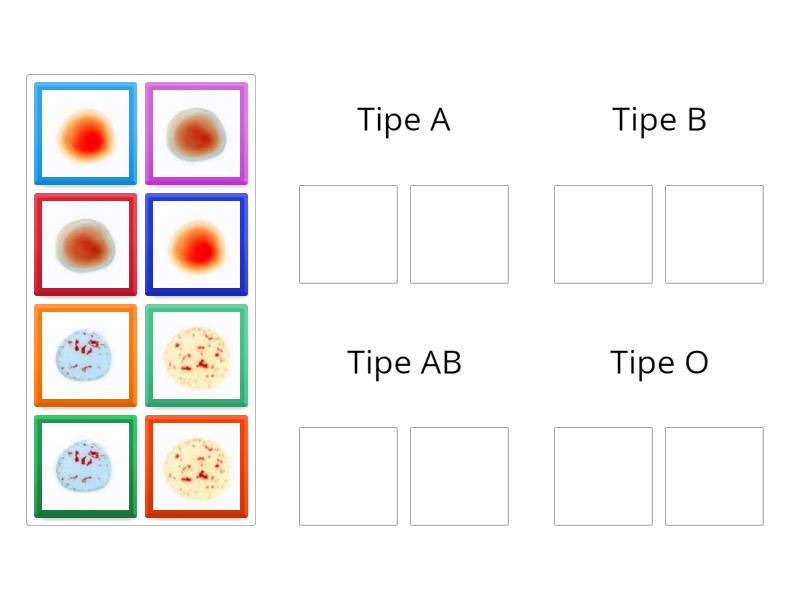 Sistem Penggolongan ABO - Group sort