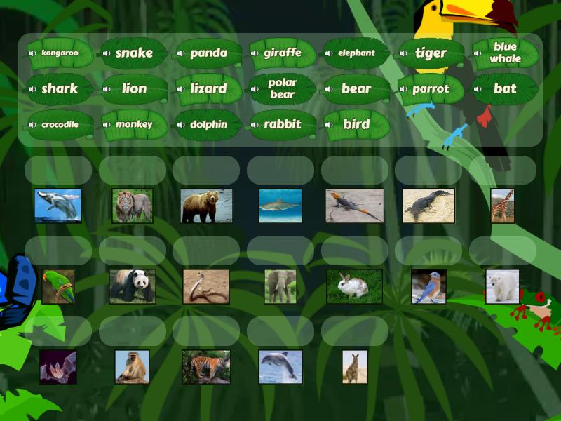 Kid's Box 4 - Unit 7 Animals - Match up
