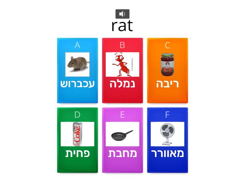 zac-the-rat-vocabulary-quiz