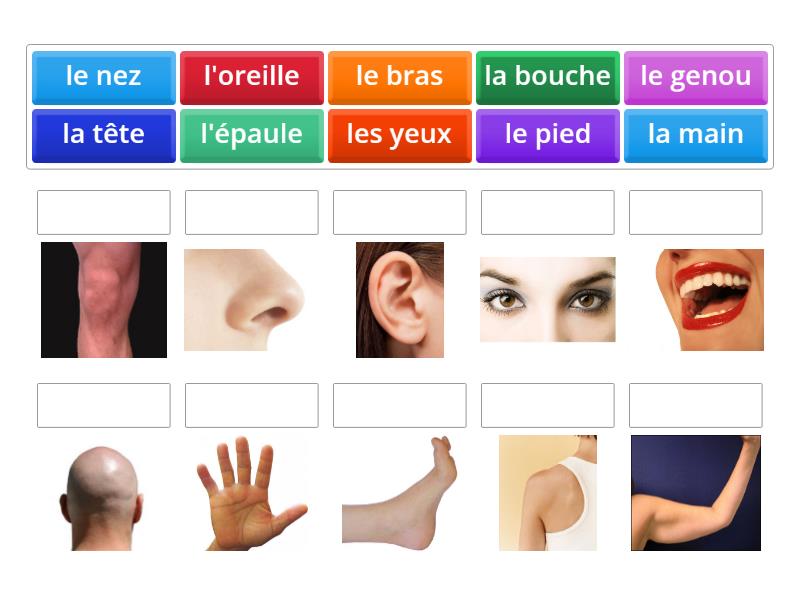 parts of the body in french pronunciation