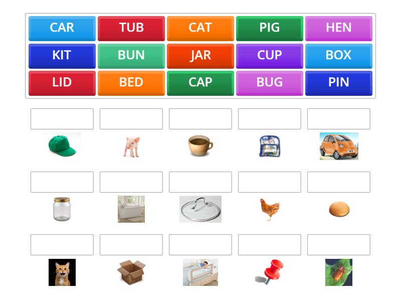 CVC WORDS - Match up