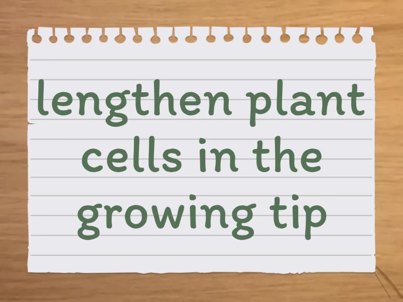 Plants and hormones response - Flash cards