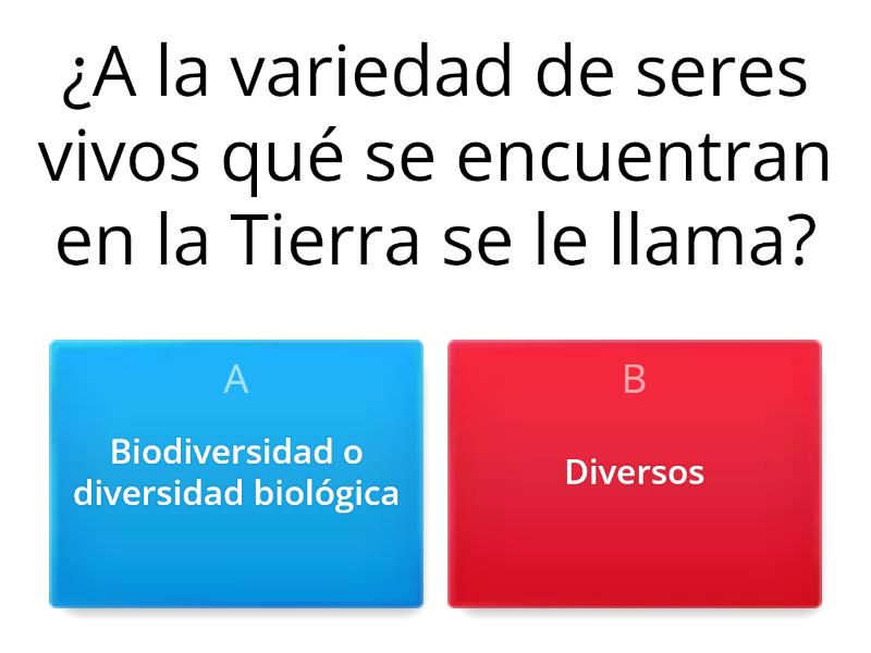 La Diversidad De Los Seres Vivos Y Sus Interacciones Quiz