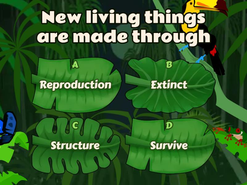 Plant reproduction Quiz