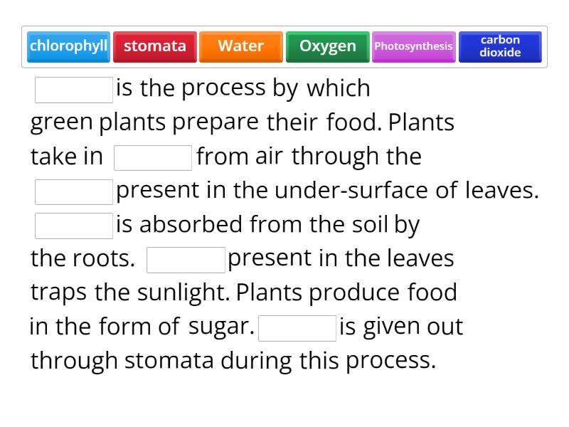 essay on photosynthesis 100 words