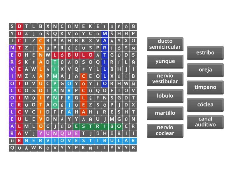 ELEMENTOS QUE COMPONEN EL OIDO - Sopa de letras