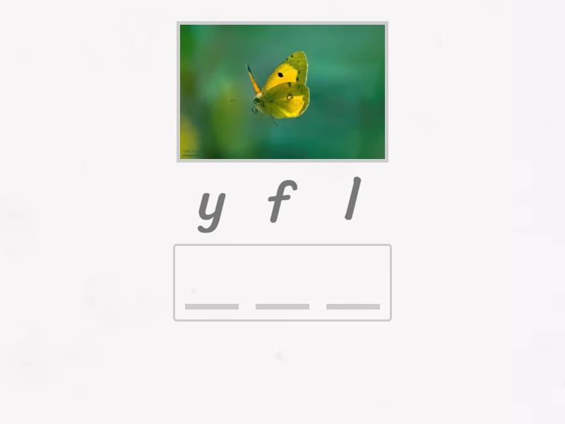 What can they do anagram