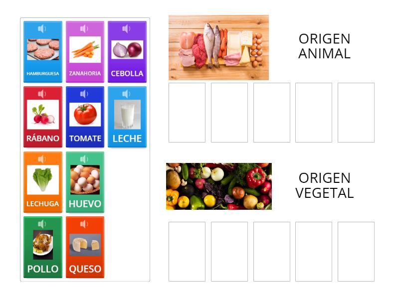 Origen animal origen vegetal pengurutan grup