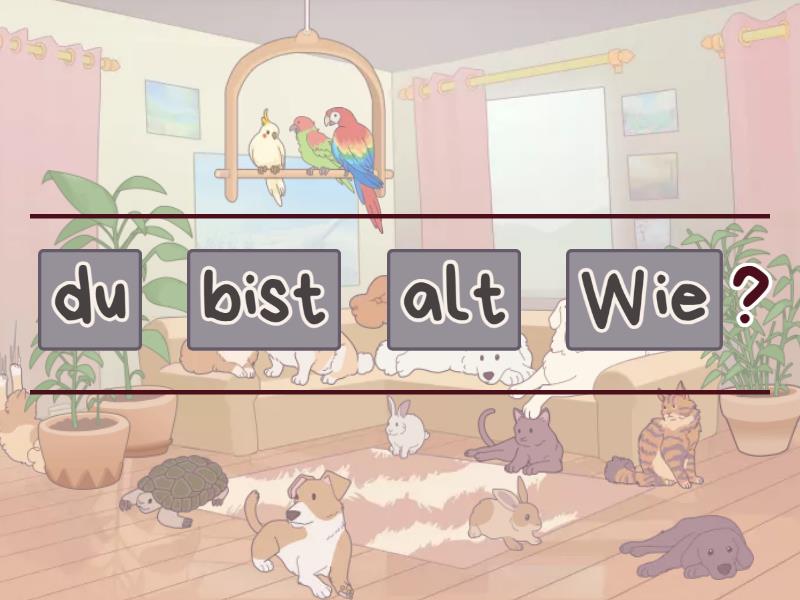 Wie Alt Bist Du Reordenar