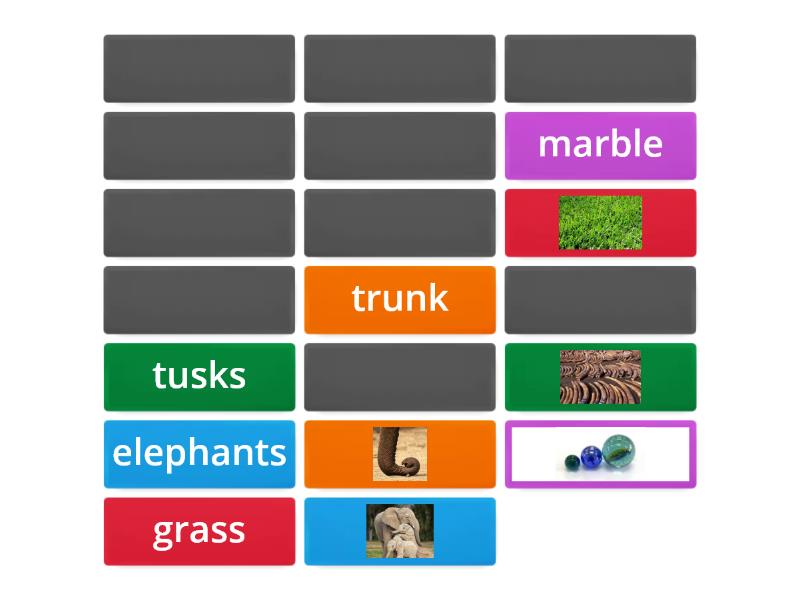 African Elephants - vocabulary - Matching pairs