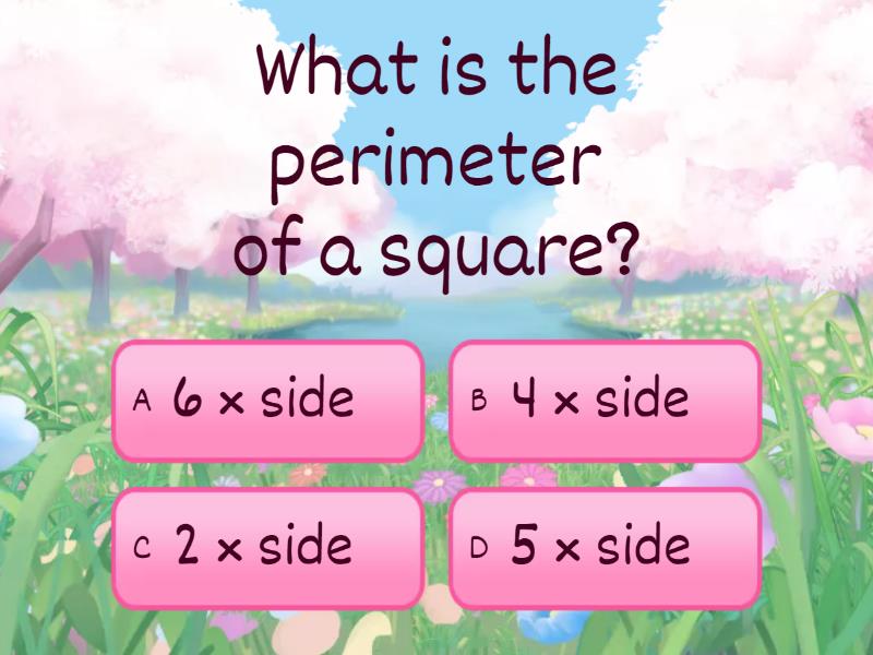 perimeter-quiz