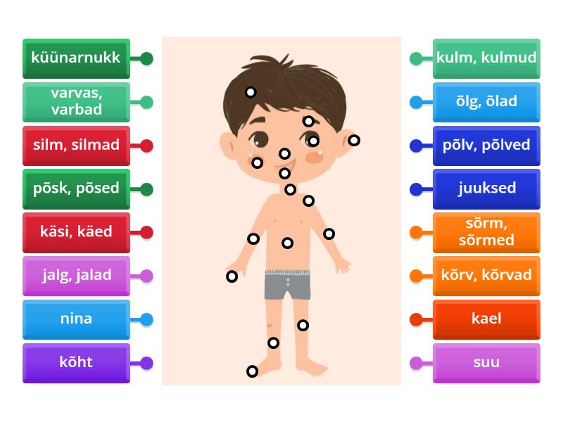 Kehaosad - Labelled diagram
