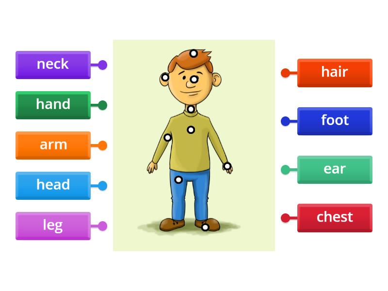 Labelled diagram Biology Diagrams
