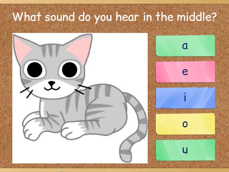 What Sound Are You Quiz
