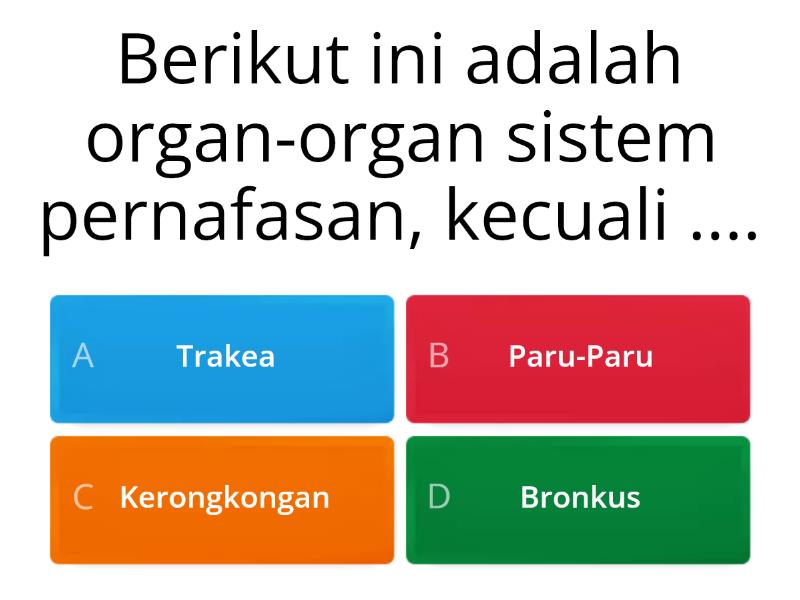 Sistem Pernafasan Pada Manusia - Quiz