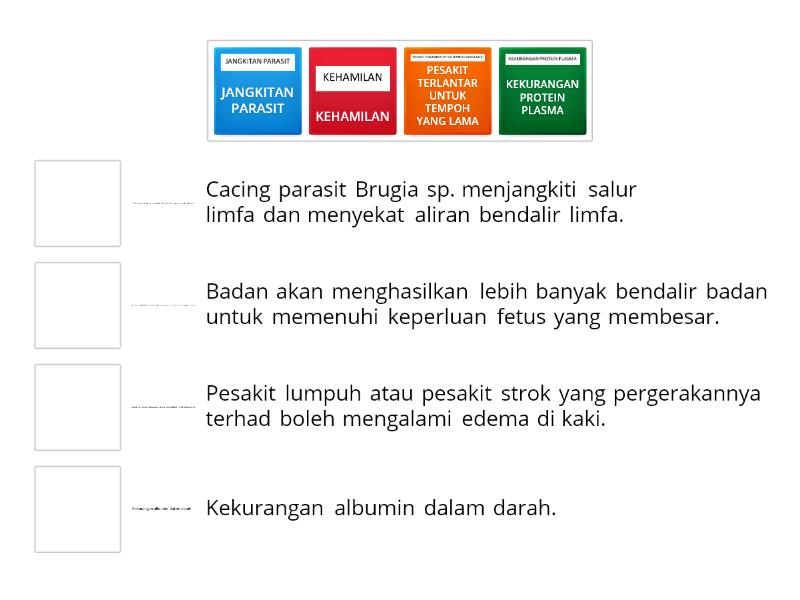 Isu Kesihatan Berkaitan Sistem Limfa Manusia Match Up