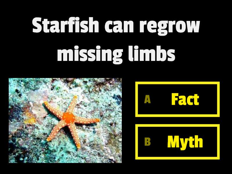 Scientific Myths And Facts - Quiz