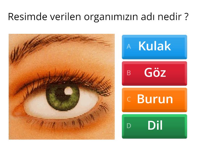 Duyu Organları Ölçme Değerlendirme I - Test