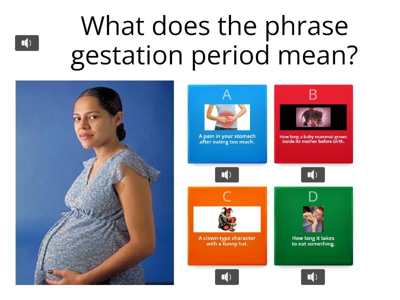 Gestation Periods - Quiz