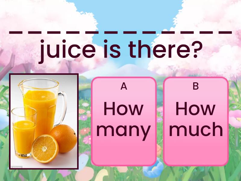 How much / How many food - Quiz