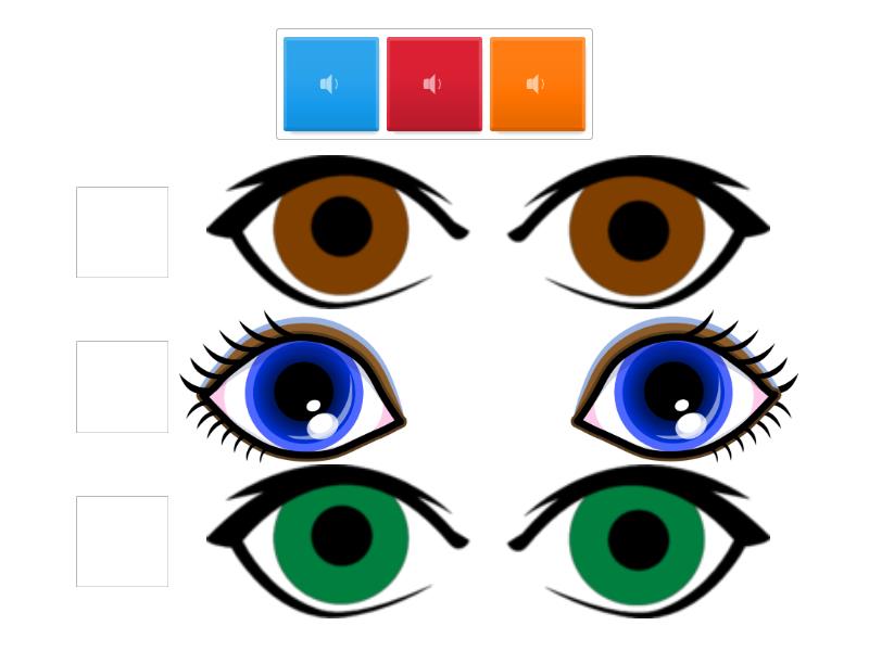 Eyes colors - Match up