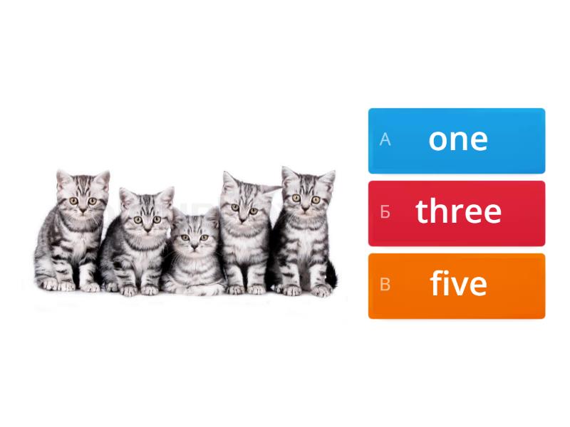 how many 5 are there in 1 to 100