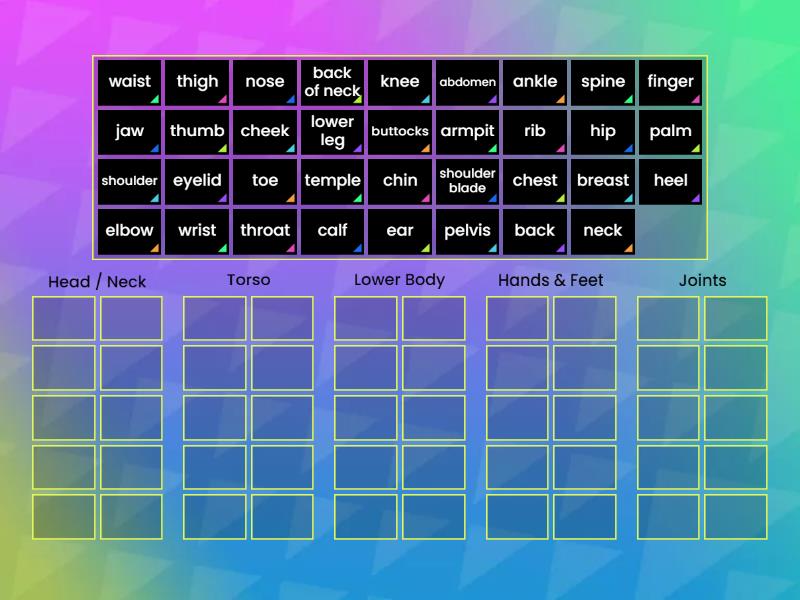 Body Parts - Group sort