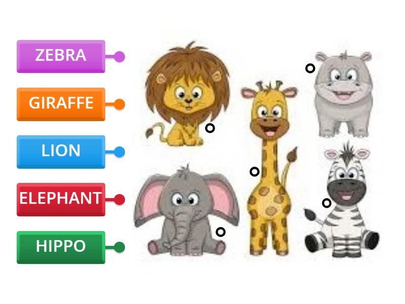 WILD ANIMALS - Labelled diagram