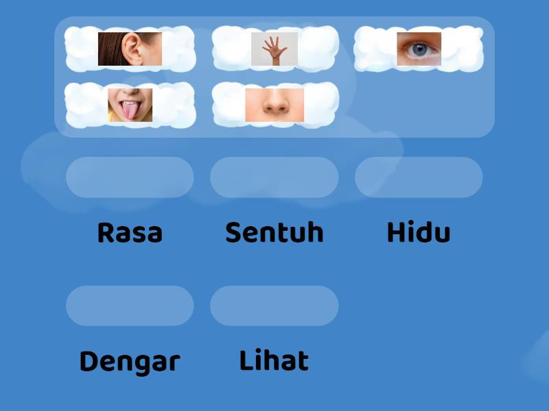 Padankan gambar dengan fungsi deria yang sesuai. - Match up