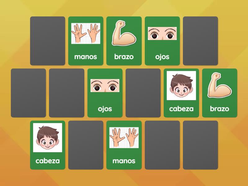 Partes Del Cuerpo Matching Pairs