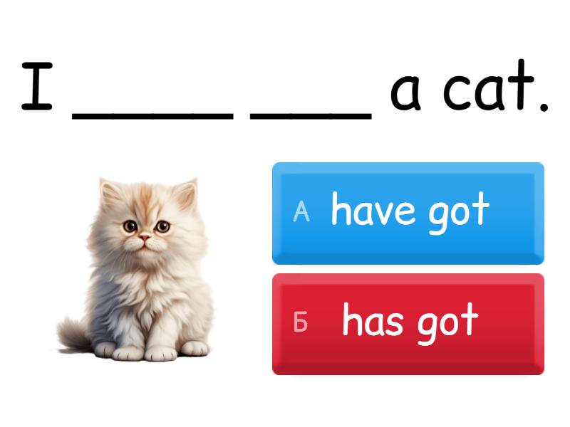 Have got / has got - Quiz