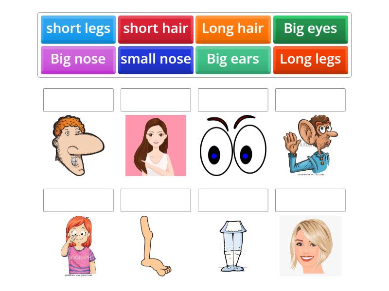 BIG SMALL LONG AND SHORT visual data 4