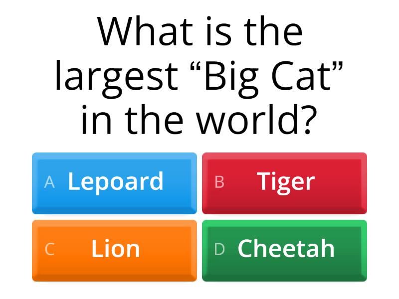 fun-facts-about-animals-quiz