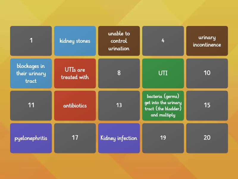 Urinary System Diseases Matching Pairs