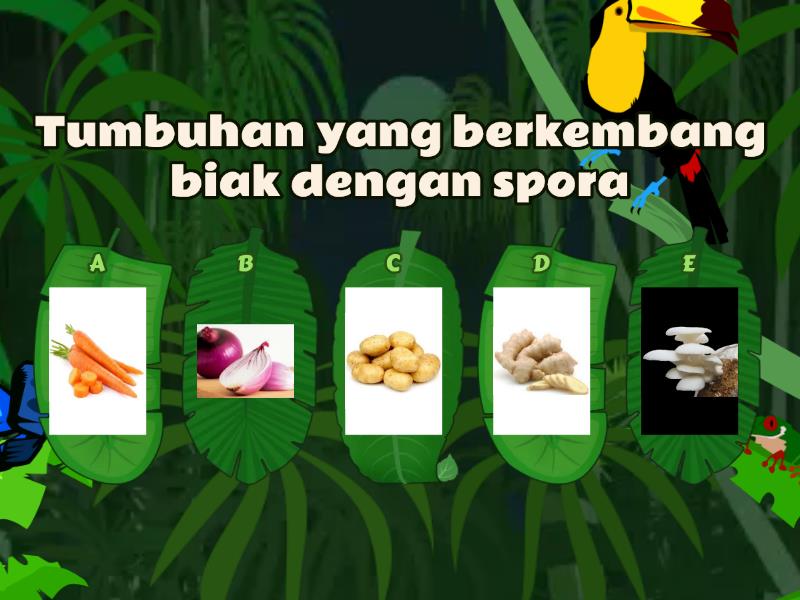 Perkembangbiakan Vegetatif Pada Tumbuhan - Quiz