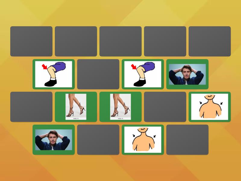 PARTS OF THE BODY - Matching pairs