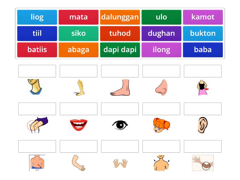 BISAYA Parts of the Body - Match up