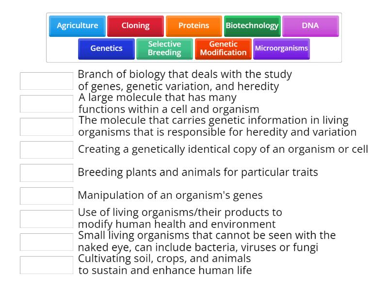 Unit 0 Vocabulary Biomedical Technologies - Match up