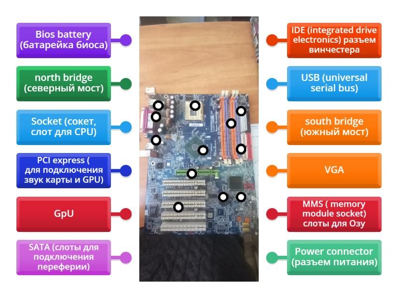 MB - Labelled diagram