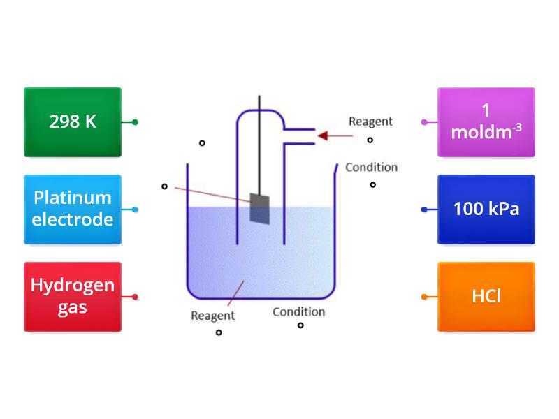 Standard hydrogen electrode - Labelled diagram