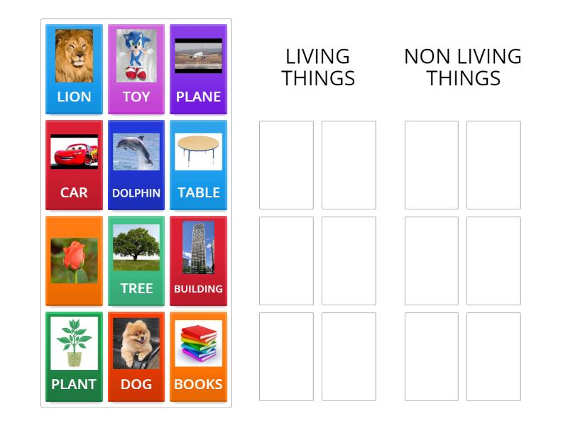 LIVING AND NON LIVING THINGS - 按組排序