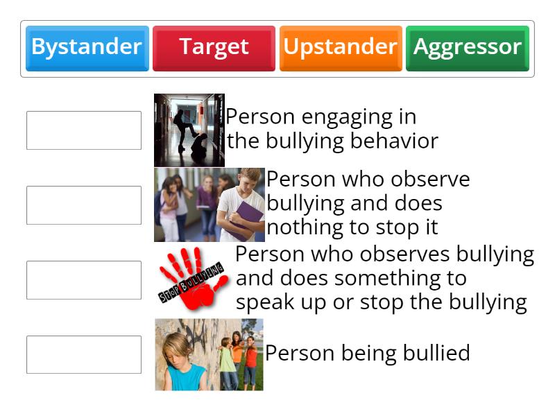 Roles of Bullying - Match up