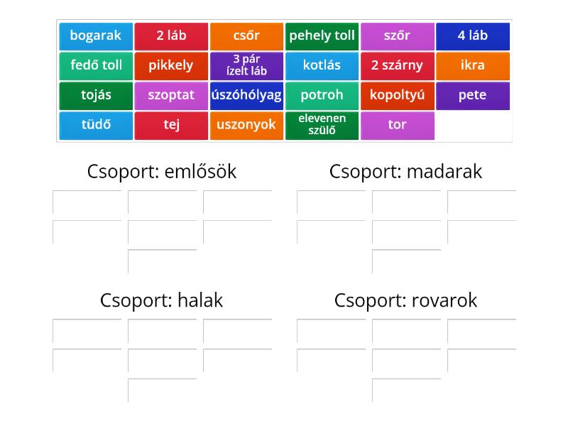 Emlősök - Madarak - Halak - Rovarok - Group Sort