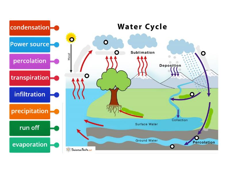 Water Cycle Diagram - Labelled diagram