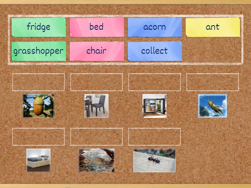 Bugs' Team-2_Unit 3a - Match up