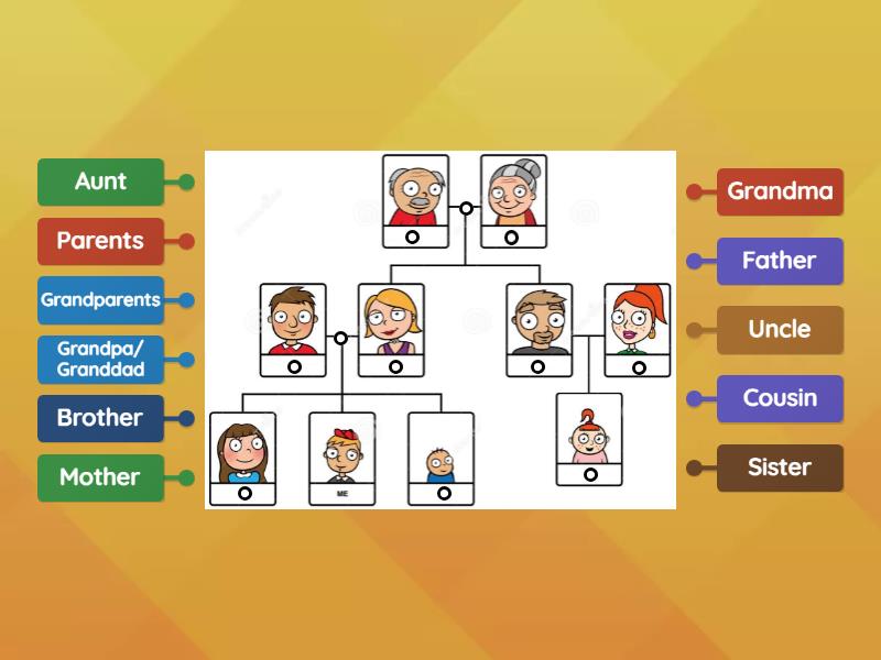 The family - Labelled diagram