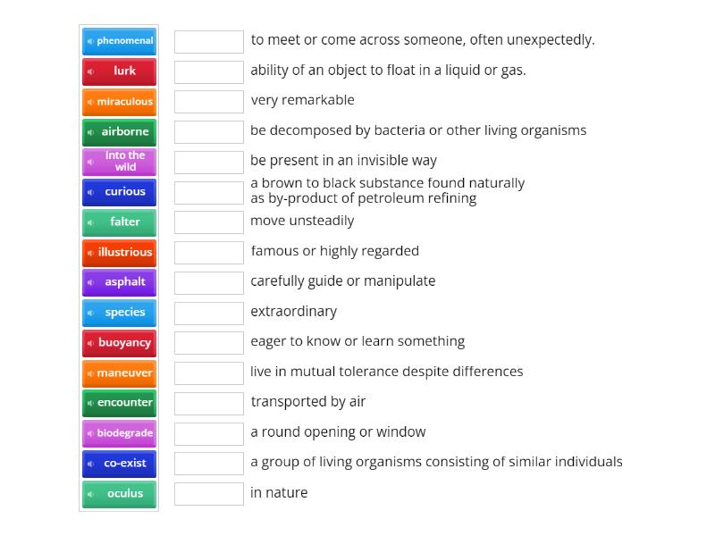 The Majestic Plastic Bag A Mockumentary Match up