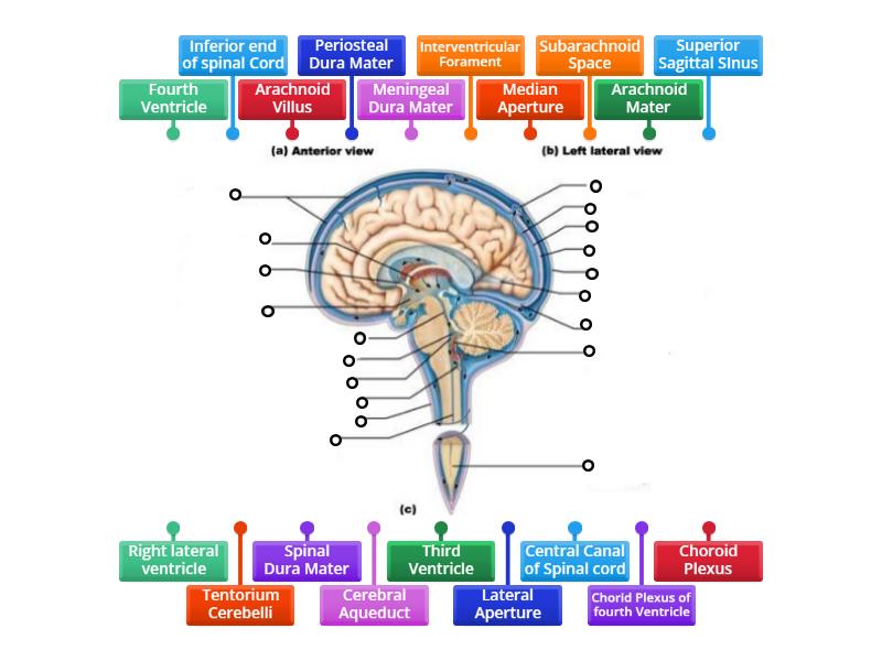 Lab2c - Labelled diagram