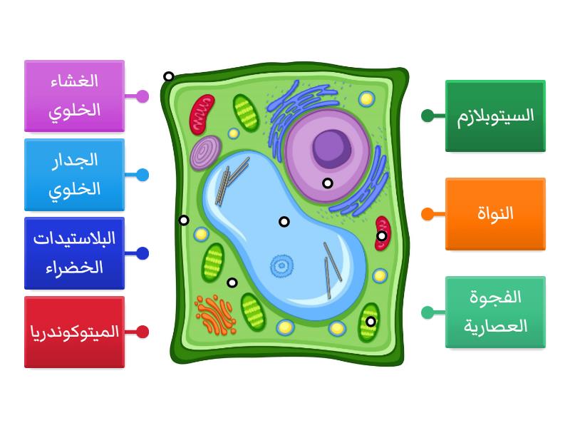 labelled-diagram