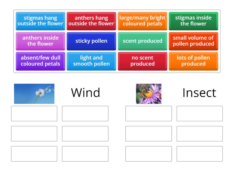 WHAT IS WIND POLLINATION FOR KIDS visual data 2